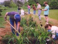 Gardening