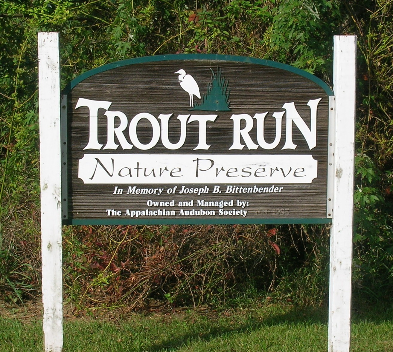 Trout Run